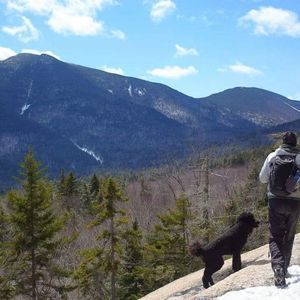 Meet your Posher, Marie